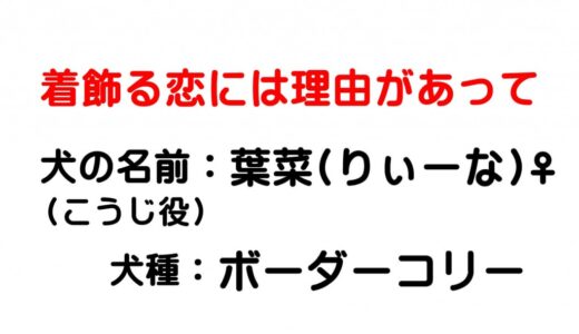 かざ恋 着飾る恋には理由があって Tbs火曜10時ドラマ略称３つの法則 はらさわ お役立ち通信